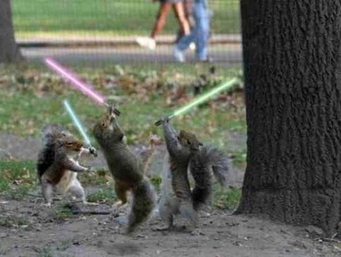 squirrels with light sabers.jpg